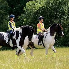 Image result for British Horse Society