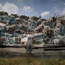 Image result for neapel abfallberge