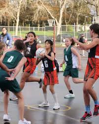 Image result for pulborough netball club