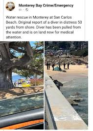 Image result for Breakwater Divers