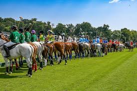 Image result for Cambridge and Newmarket Polo Club