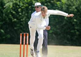 Image result for West Chiltington & Thakeham Cc
