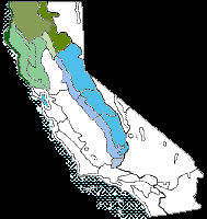 Attēlu rezultāti vaicājumam “Bryum weigelii”
