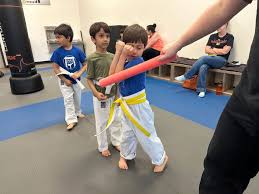 Image result for Martial Art Centre of Excellence