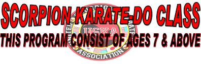 Image result for Scorpion Martial Arts Academy