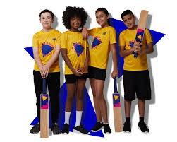 Image result for Norton Lindsay & Wolverton Cricket Club