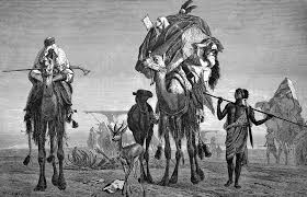 Image result for Nomads