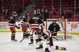 Image result for Demons Skater Hockey Club