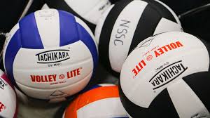 Image result for Tendring Volleyball Club