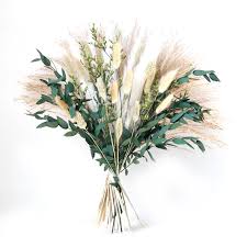 Attēlu rezultāti vaicājumam “Phragmites communis flower”