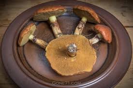 Attēlu rezultāti vaicājumam “Suillus luteus”