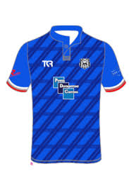 Image result for Brigg Town Cricket Club