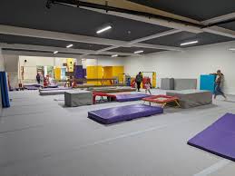 Image result for Croydon School Of Gymnastics