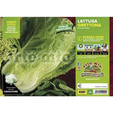 Image result for Römischer Salat