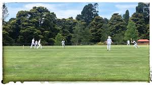 Image result for Blackheath Cricket Club