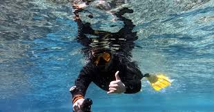 Image result for Darwen Snorkelling Club