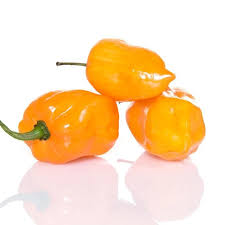Afbeeldingsresultaat voor orange habanero hot pepper