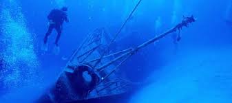 Image result for Deep and Wide Diving