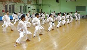 Image result for Burnham Karate Club