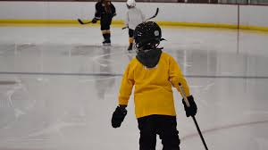Image result for Havering Skater Hockey Club