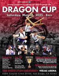 Image result for Kicking Dragon Kung Fu School, Belfast