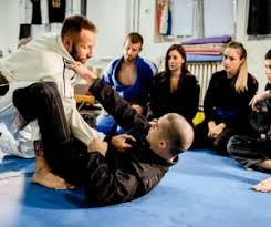 Image result for Vision Martial Arts