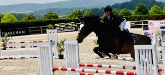 Image result for Shey Copse Riding Centre