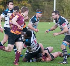 Image result for Grasshoppers Rfc
