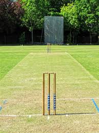 Image result for North London Cricket Club