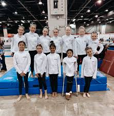Image result for Valiant Gymnastics Club