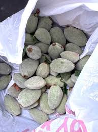 Image result for fresh green almonds