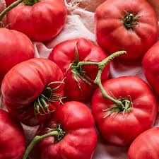 Afbeeldingsresultaat voor mortgage lifter bicolor strain tomato