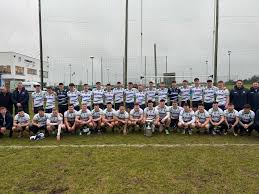 Image result for University Of Limerick Gaa Hurling Club