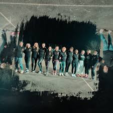 Image result for Robins Netball Club