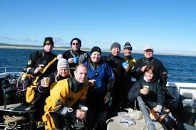 Image result for Wyndley Seals Snorkelling Club