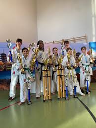 Image result for Aylesbury Vale Seido Karate
