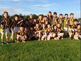 Image result for Culloville Gfc