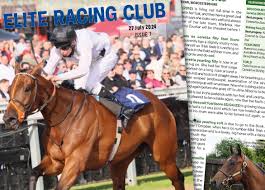 Image result for Elite Racing Club