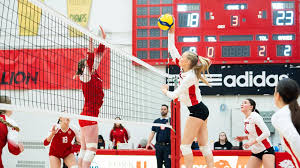 Image result for York University Volleyball Club