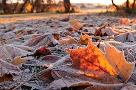 Image result for Приметы