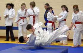 Image result for Felixstowe Judo club