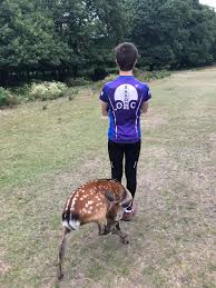 Image result for Dartford Orienteers (DFOK)