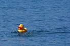 SY9078 : Rubber duck - via Daymix