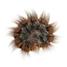 Attēlu rezultāti vaicājumam “Lasiocampa trifolii male”