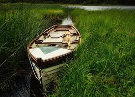 Image result for Blackpool Boat Angling Club