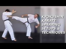 Image result for Kyokushin Karate