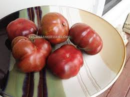 Afbeeldingsresultaat voor purple calabash tomato