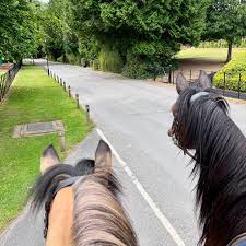 Image result for Beechwood Riding School