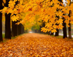 Image result for Приметы