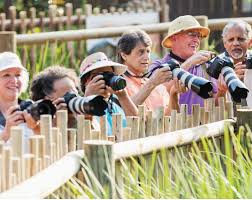 Image result for U3A Shaftesbury SG